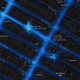 Image for article titled An Insanely Detailed Map of Where People Bike and Run Around the World
